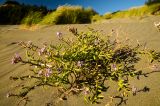 201108151908-AJS_7642.jpg